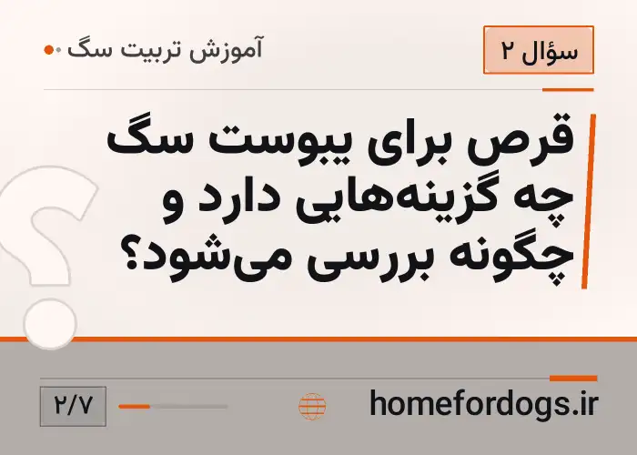 قرص برای یبوست سگ چه گزینه‌هایی دارد و چگونه بررسی می‌شود؟
