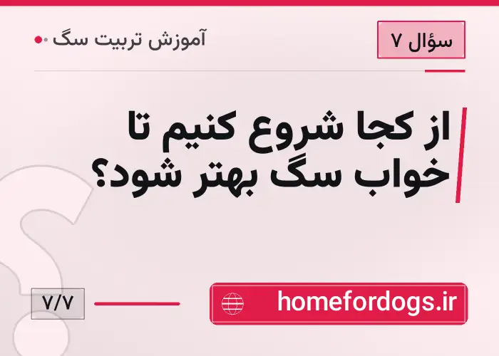 از کجا شروع کنیم تا خواب سگ بهتر شود؟
