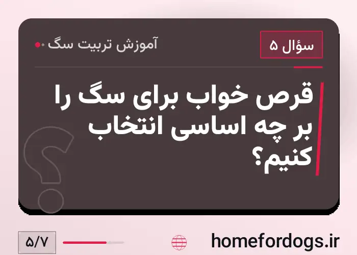 قرص خواب برای سگ را بر چه اساسی انتخاب کنیم؟