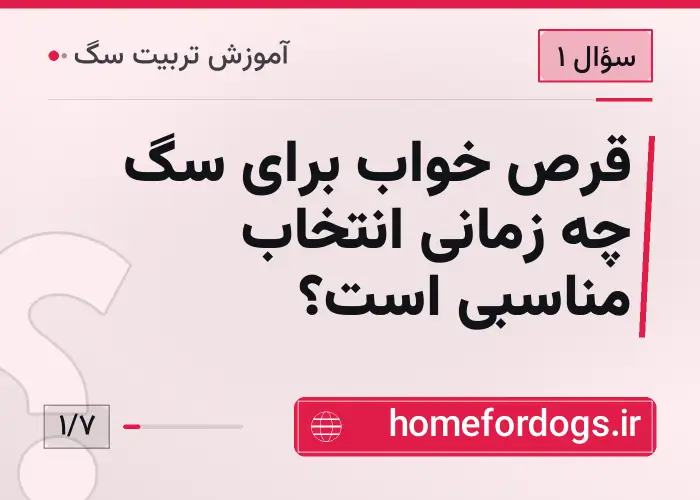قرص خواب برای سگ چه زمانی انتخاب مناسبی است؟