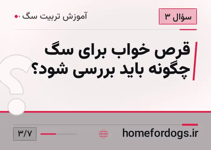 قرص خواب برای سگ چگونه باید بررسی شود؟