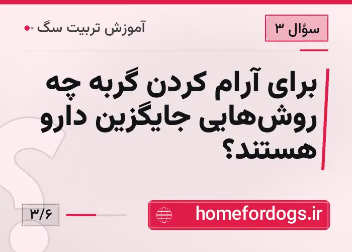 برای آرام کردن گربه چه روش‌هایی جایگزین دارو هستند؟