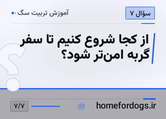 از کجا شروع کنیم تا سفر گربه امن‌تر شود؟