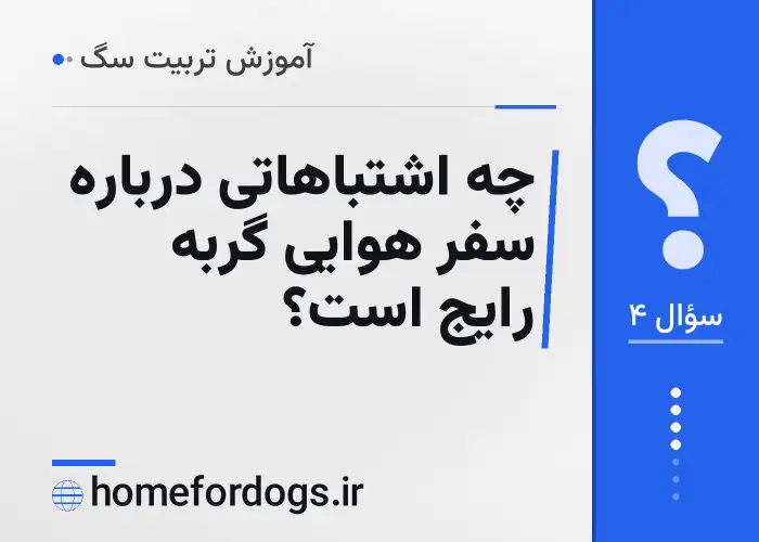 چه اشتباهاتی درباره سفر هوایی گربه رایج است؟