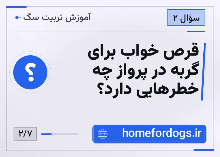 قرص خواب برای گربه در پرواز چه خطرهایی دارد؟