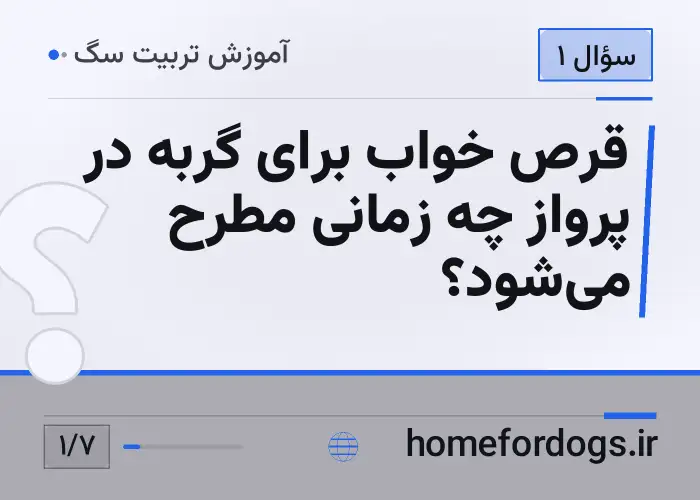 قرص خواب برای گربه در پرواز چه زمانی مطرح می‌شود؟