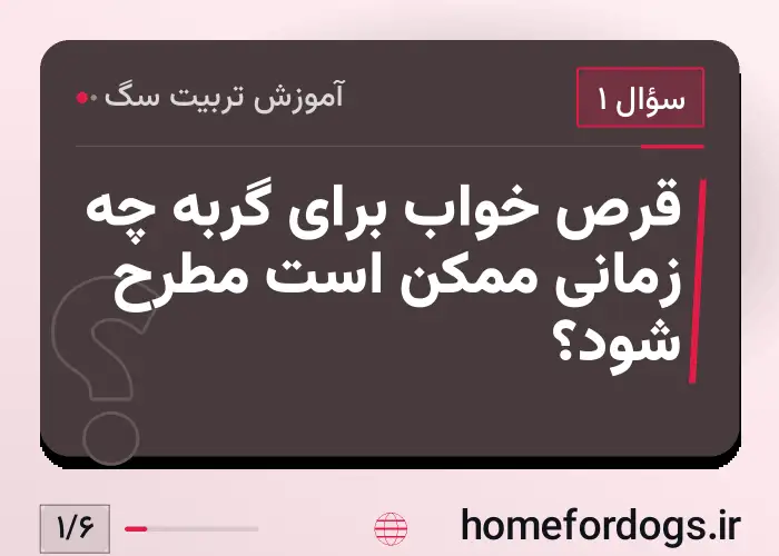 قرص خواب برای گربه چه زمانی ممکن است مطرح شود؟