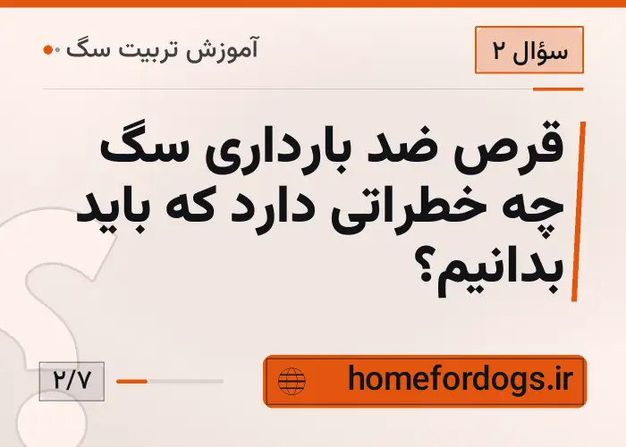 قرص ضد بارداری سگ چه خطراتی دارد که باید بدانیم؟