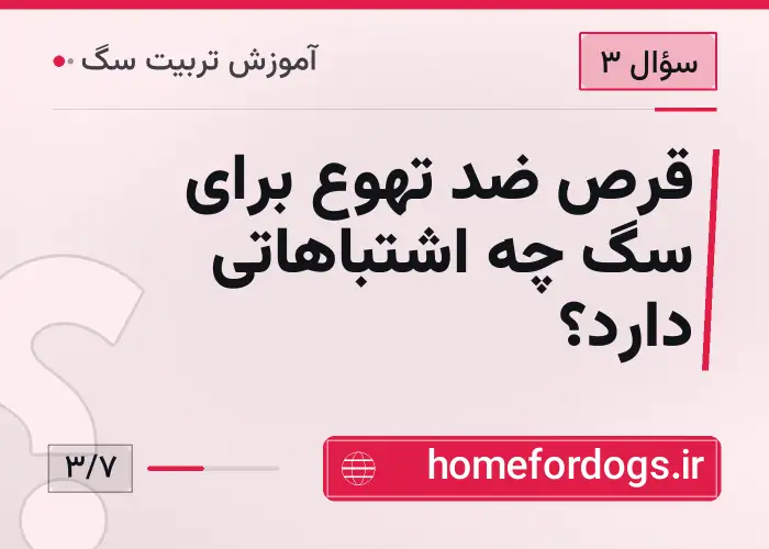 قرص ضد تهوع برای سگ چه اشتباهاتی دارد؟
