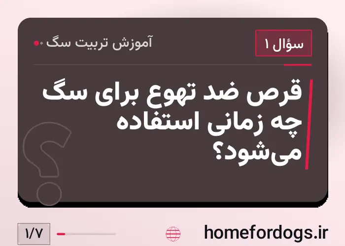 قرص ضد تهوع برای سگ چه زمانی استفاده می‌شود؟
