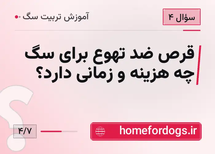 قرص ضد تهوع برای سگ چه هزینه و زمانی دارد؟