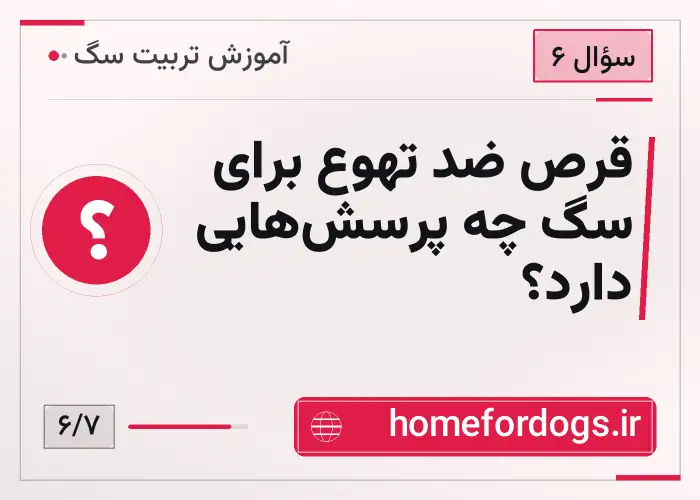 قرص ضد تهوع برای سگ چه پرسش‌هایی دارد؟