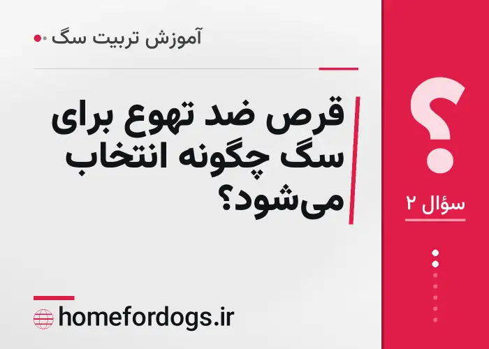 قرص ضد تهوع برای سگ چگونه انتخاب می‌شود؟