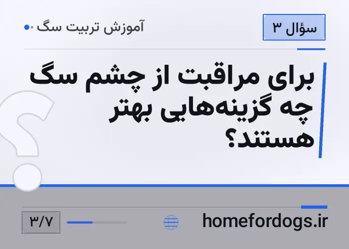 برای مراقبت از چشم سگ چه گزینه‌هایی بهتر هستند؟