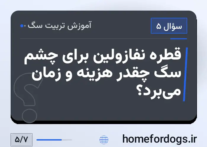قطره نفازولین برای چشم سگ چقدر هزینه و زمان می‌برد؟