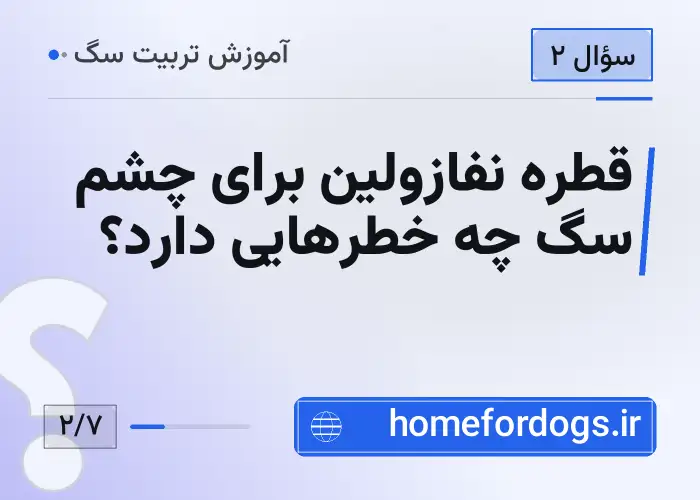 قطره نفازولین برای چشم سگ چه خطرهایی دارد؟