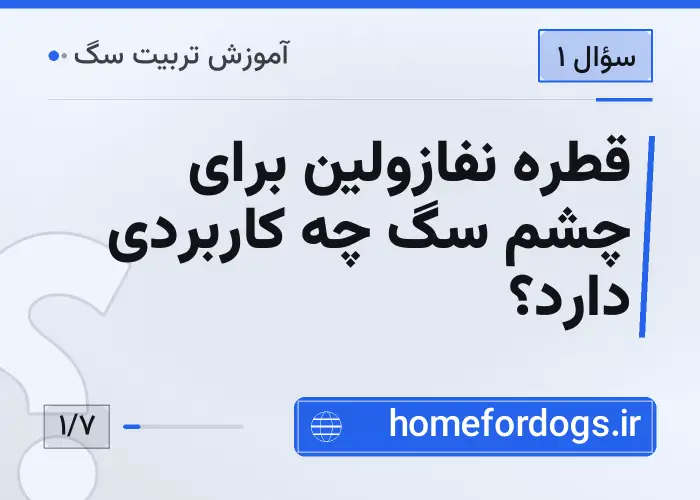 قطره نفازولین برای چشم سگ چه کاربردی دارد؟