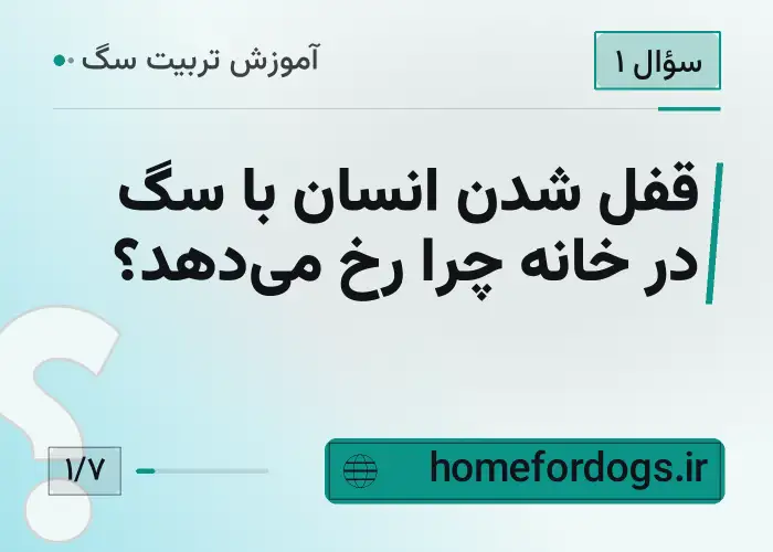 قفل شدن انسان با سگ در خانه چرا رخ می‌دهد؟