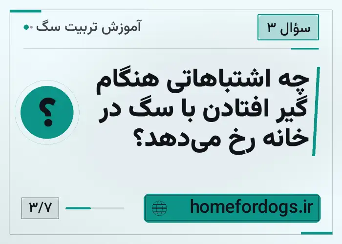 چه اشتباهاتی هنگام گیر افتادن با سگ در خانه رخ میدهد؟