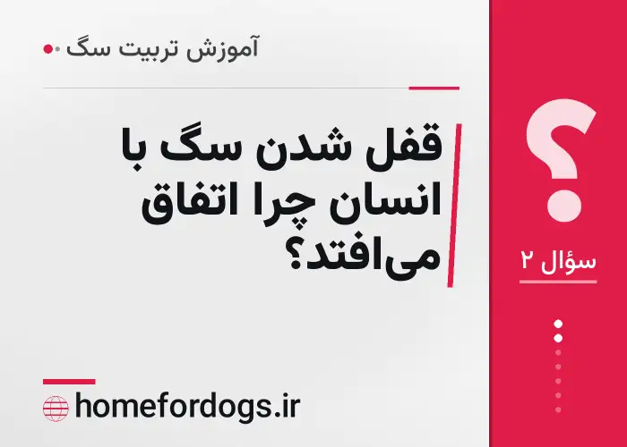 قفل شدن سگ با انسان چرا اتفاق می‌افتد؟
