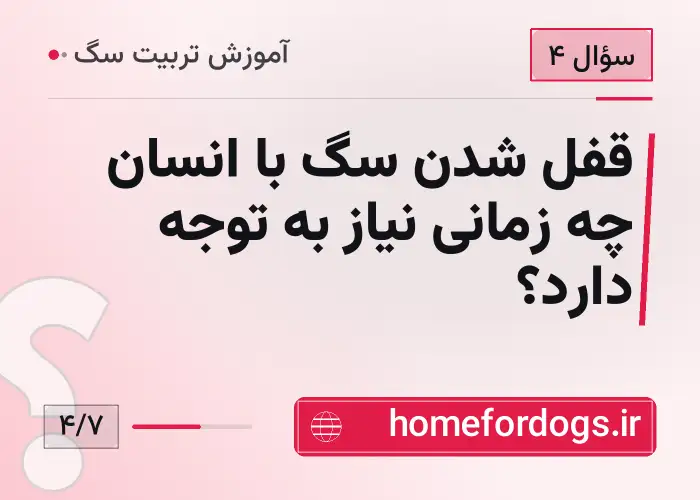 قفل شدن سگ با انسان چه زمانی نیاز به توجه دارد؟