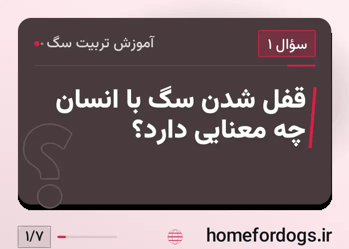 قفل شدن سگ با انسان چه معنایی دارد؟