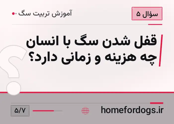 قفل شدن سگ با انسان چه هزینه و زمانی دارد؟