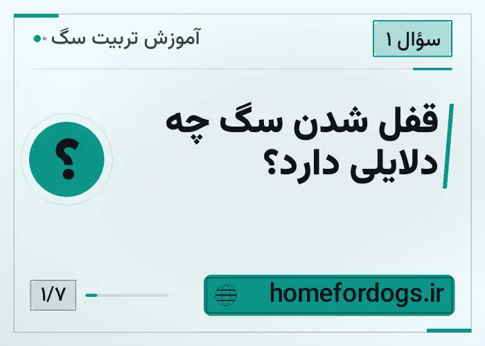 قفل شدن سگ چه دلایلی دارد؟