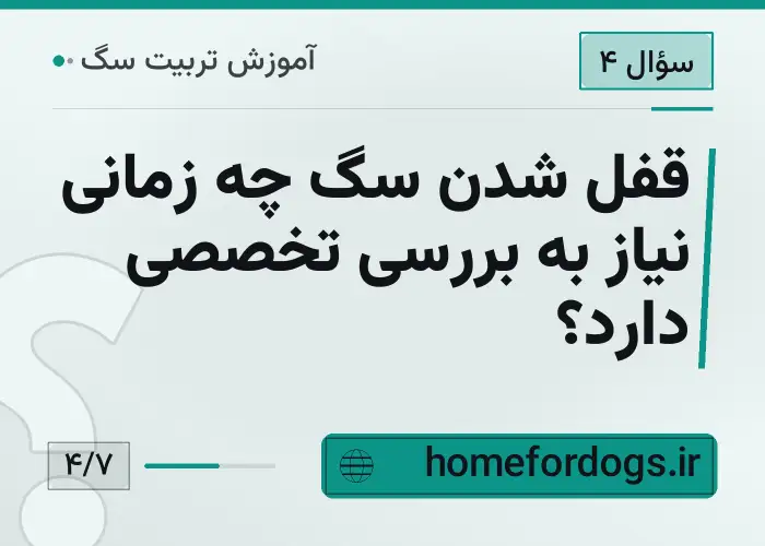 قفل شدن سگ چه زمانی نیاز به بررسی تخصصی دارد؟