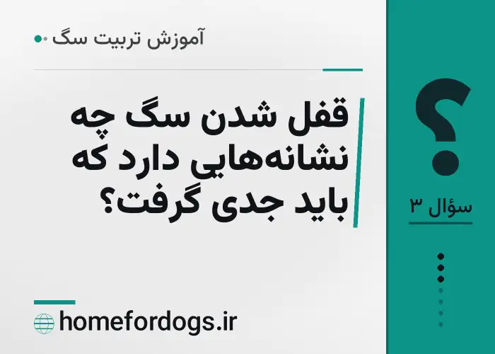 قفل شدن سگ چه نشانه‌هایی دارد که باید جدی گرفت؟