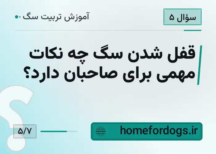 قفل شدن سگ چه نکات مهمی برای صاحبان دارد؟