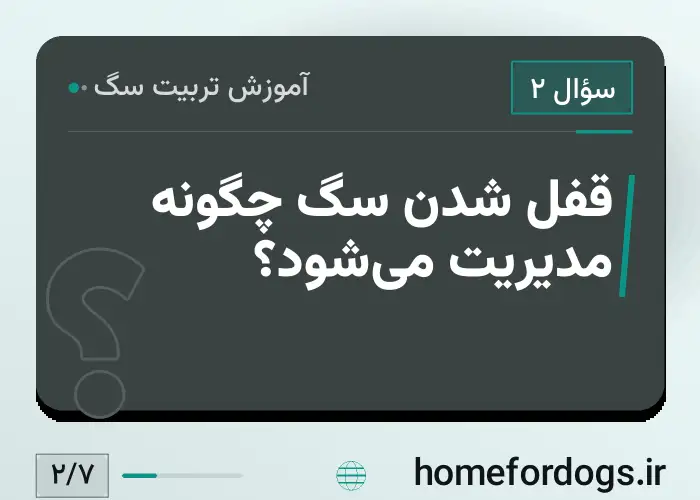قفل شدن سگ چگونه مدیریت می‌شود؟