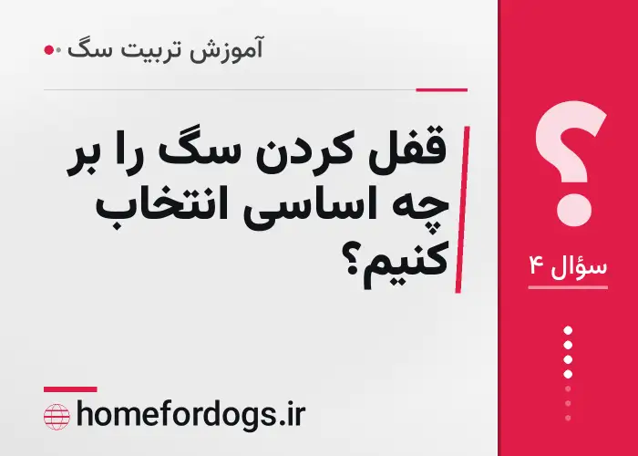 قفل کردن سگ را بر چه اساسی انتخاب کنیم؟