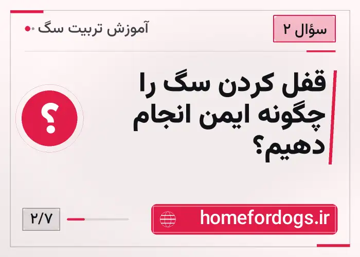 قفل کردن سگ را چگونه ایمن انجام دهیم؟