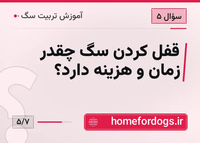 قفل کردن سگ چقدر زمان و هزینه دارد؟