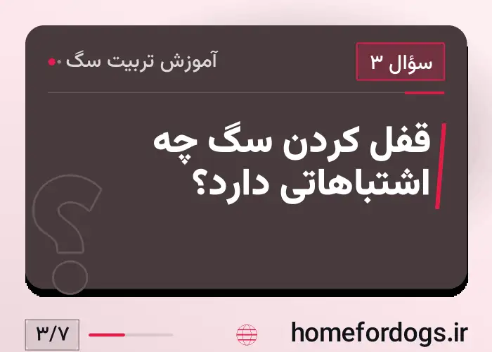 قفل کردن سگ چه اشتباهاتی دارد؟
