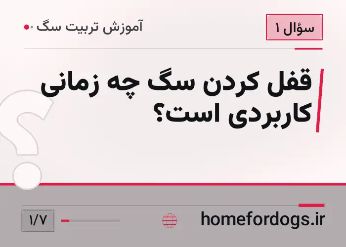 قفل کردن سگ چه زمانی کاربردی است؟