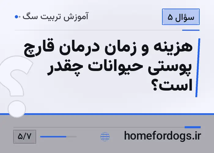 هزینه و زمان درمان قارچ پوستی حیوانات چقدر است؟