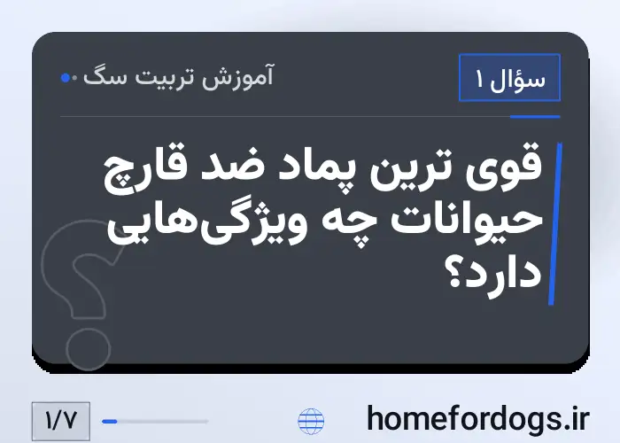 قوی ترین پماد ضد قارچ حیوانات چه ویژگی‌هایی دارد؟