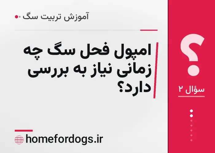امپول فحل سگ چه زمانی نیاز به بررسی دارد؟