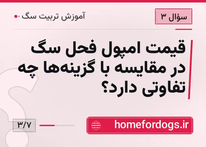 قیمت امپول فحل سگ در مقایسه با گزینه‌ها چه تفاوتی دارد؟