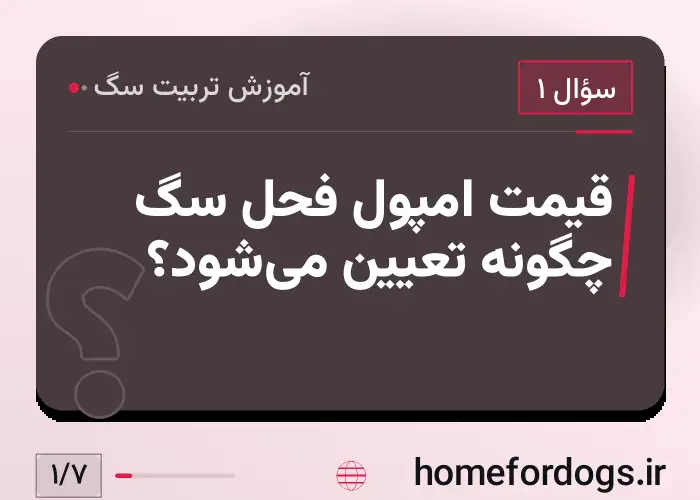 قیمت امپول فحل سگ چگونه تعیین می‌شود؟