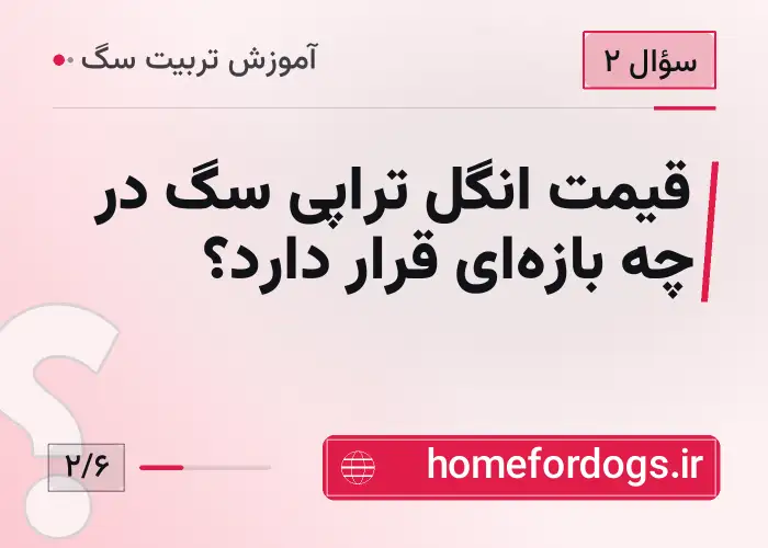 قیمت انگل تراپی سگ در چه بازه‌ای قرار دارد؟
