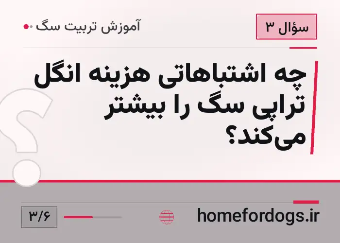 چه اشتباهاتی هزینه انگل تراپی سگ را بیشتر می‌کند؟