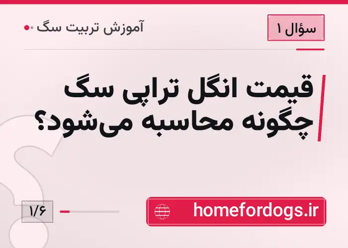 قیمت انگل تراپی سگ چگونه محاسبه می‌شود؟