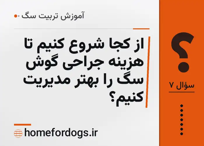 از کجا شروع کنیم تا هزینه جراحی گوش سگ را بهتر مدیریت کنیم؟