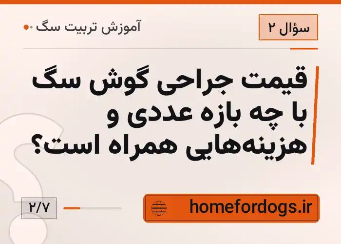 قیمت جراحی گوش سگ با چه بازه عددی و هزینه‌هایی همراه است؟