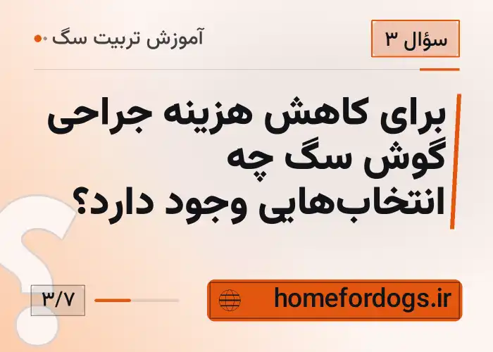 برای کاهش هزینه جراحی گوش سگ چه انتخاب‌هایی وجود دارد؟