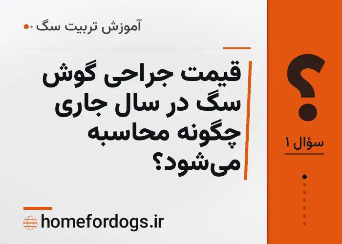 قیمت جراحی گوش سگ در سال جاری چگونه محاسبه می‌شود؟