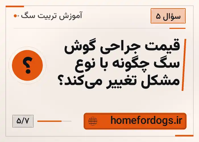 قیمت جراحی گوش سگ چگونه با نوع مشکل تغییر می‌کند؟